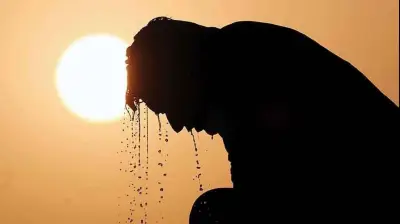 موجة حر غير مسبوقة تهدد الزراعة في مصر.. المناخ يضغط والمحاصيل تدفع الثمن