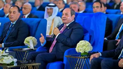 السيسي يستعرض جهود توصيل المياه والكهرباء لمشروع الدلتا الجديدة