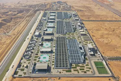 النائبة عبير عطا الله: مشروع الدلتا الجديدة يفتح آفاقا جديدة للاستثمار والعمل