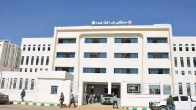 إصابة مهندس وسائق في انقلاب ميكروباص بطريق العوينات بالوادي الجديد