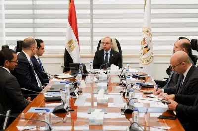 فريد: نعمل على توسع الشركات وجذب استثمارات جديدة لتحقيق التنمية الاقتصادية