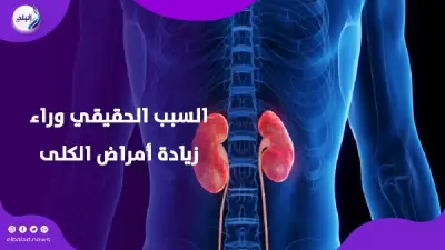 تلوث الهواء يهدد كليتيك: دراسة تكشف علاقة خطيرة