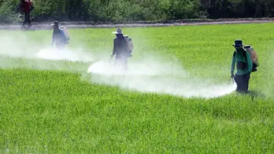 مشروع الدلتا الجديدة نموذج للاستفادة المثلى من مياه الصرف الزراعي
