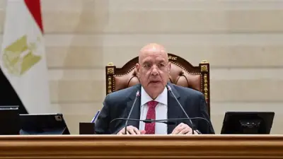 هشام بدوي: مستعدون لدعم مجلس النواب الليبي بكل السبل