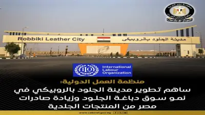 كيف ساهم تطوير مدينة الجلود بالروبيكي في زيادة صادرات مصر؟