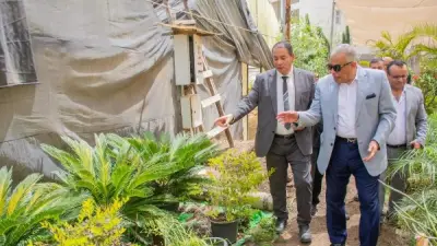 جامعة طنطا تعزز الابتكار في الزراعة المستدامة والأمن المائي بالدلتا