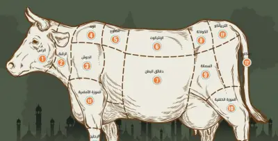 قطعيات اللحمة وطريقة طهي كل قطعة لعيد الأضحى