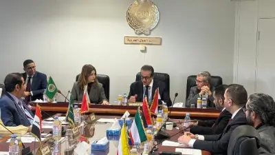 مصر تؤكد دورها الإنساني تجاه فلسطين وتدعو لتكاتف عربي لمواجهة التحديات الصحية