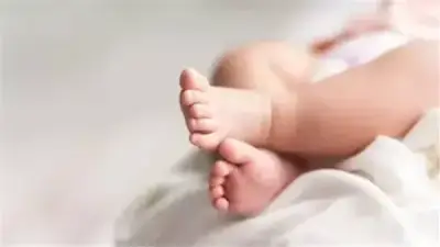 نظام تسليم الأطفال المفقودين وفقاً لقانون الأحوال المدنية المصري