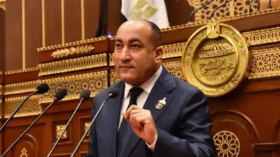 نائب حماة الوطن يقترح العودة للصرف اليدوي لحل أزمة المعاشات قبل العيد