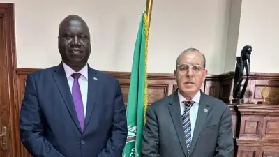 منح دراسية ودعم للكوادر.. تفاصيل تعاون الجامعة العربية وجنوب السودان