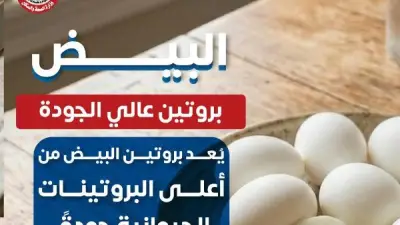 وزارة الصحة توصي بتناول البيض لبناء العضلات ودعم الصحة العامة