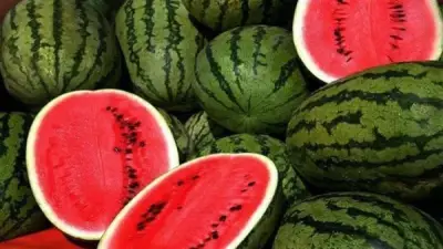 الزراعة تنفي شائعات البطيخ المسرطن وتؤكد سلامة المحصول