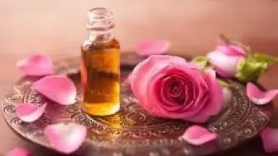 فوائد بتلات الورد المذهلة للصحة والبشرة والمزاج