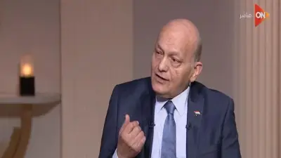 رئيس لجنة الأسرة: سن الحضانة وفق العلم ومصلحة الطفل