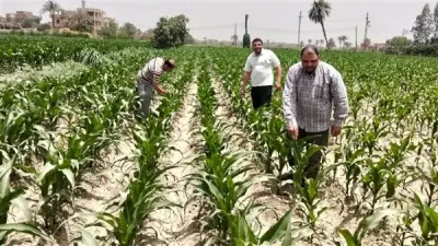 الفيوم تنظم ندوة إرشادية عن طرق الري ومكافحة الآفات للمحاصيل