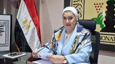 القومي للطفولة والأمومة يستعرض جهوده لتعزيز حماية الأطفال ودعم الأسر
