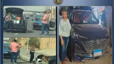 الداخلية تكشف تفاصيل ضبط سيدة تطعم كلابا ضالة بمخلفات لحوم