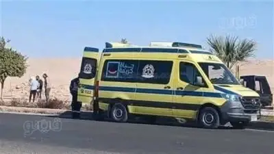 مصرع طفلة دهسًا بسيارة ميكروباص على الطريق الدولي بجمصة