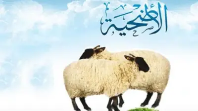 الإفتاء توضح متى يبدأ وقت الأضحية في عيد الأضحى