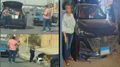 القبض على سيدة تطعم الكلاب الضالة في القاهرة لحث المواطنين على الرفق بالحيوان
