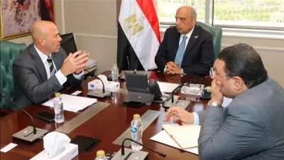 وزير الكهرباء يبحث توفير الطاقة لمركز عالمي للبيانات
