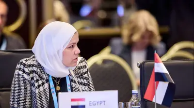 مخططات الضرائب لتطوير المنظومة بالذكاء الاصطناعي وبروفايل متكامل للممولين