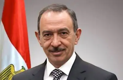 محمد رشوان: الرئيس السيسي يقود تحركات سياسية ودبلوماسية لدعم الاستقرار الإقليمي
