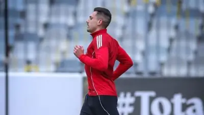 الأهلي يطلب مليوني دولار للتخلي عن جراديشار في الصيف