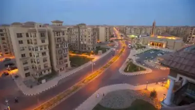 منع إطعام الكلاب والقطط داخل مدينتي.. وعقوبات للمخالفين