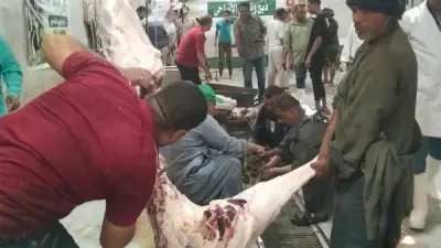 إقبال كبير على المجازر الحكومية بأسيوط لذبح الأضاحي بالمجان في عيد الأضحى