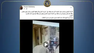 الداخلية تكشف تفاصيل واقعة تضرر سيدة من مالك محل بعد إتلاف سيارتها بالقليوبية