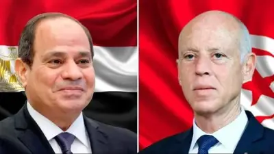 السيسي وقيس سعيد يبحثان تعزيز العلاقات المصرية التونسية