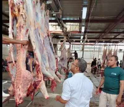 جهود الطب البيطري بأسوان في ذبح الأضاحي بالمجان