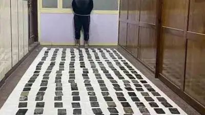 صندوق مكافحة الإدمان يحذر من مغالطات مدمن الحشيش ويؤكد ارتباطه بالجرائم وضمور المخ