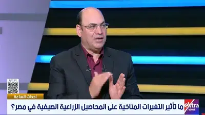تأخر موسم المانجو أسبوعين بسبب التقلبات الجوية في مصر