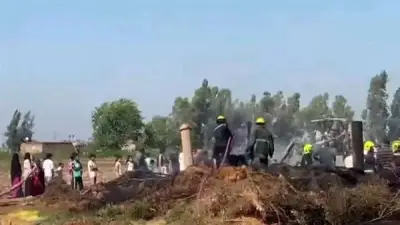 سيطرة الحماية المدنية على حريق حظيرة مواشي بالدقهلية