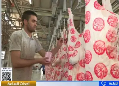 كيف تفرق بين الختم الرسمي والمزور للحوم في فيديو