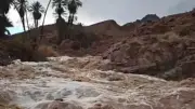 كينيا.. مصرع 10 أشخاص جراء الأمطار الغزيرة والفيضانات