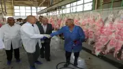 10 آلاف جنيه غرامة لذبح الأضاحي بالشوارع في عيد الأضحى بالقاهرة