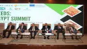 رئيس بحوث الصحراء: إنتاج القمح يتجاوز 10 ملايين طن واكتفاء ذاتي من الأرز