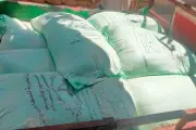 ضبط 10 أطنان دقيق مدعم في حملات تموينية بالشرقية
