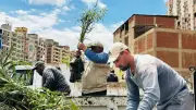 وزيرة التنمية المحلية تتابع تشجير الطريق الدائري ضمن مبادرة 100 مليون شجرة