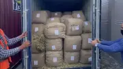 الحبس وغرامة 100 ألف جنيه عقوبة تهريب البضائع وفقاً لقانون الجمارك الجديد