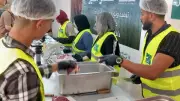 104 أضاحي تصل للأسر الأولى بالرعاية في الغربية خلال عيد الأضحى