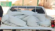 ضبط 12 طن دقيق مدعم في حملات أمنية على المخابز خلال 24 ساعة