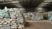 محافظ المنوفية: توريد 120 ألف طن قمح منذ بدء الموسم