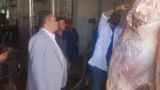 مجازر الوادي الجديد تستقبل 125 أضحية في ثالث أيام العيد