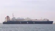 حركة الملاحة بميناء دمياط: استقبال 14 سفينة ومغادرة 15 أخرى اليوم