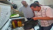 غلق 14 منشأة مخالفة وإصدار 33 رخصة جديدة في حملات مكثفة بالمنيا